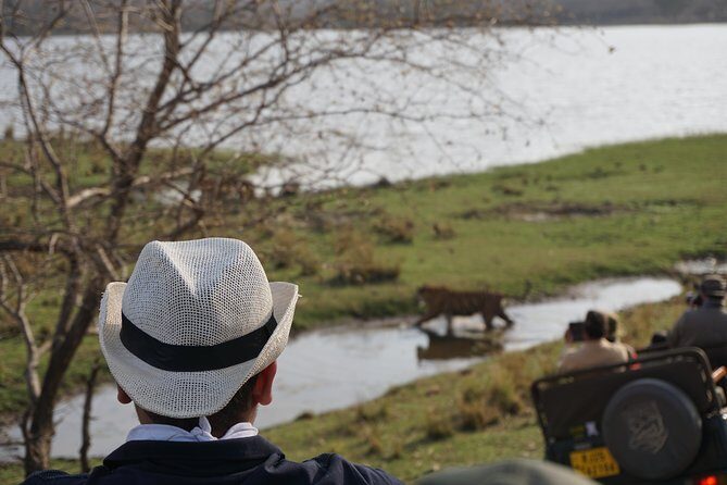 Full-Day Tour of Ranthambore from Jaipur - Final Thoughts