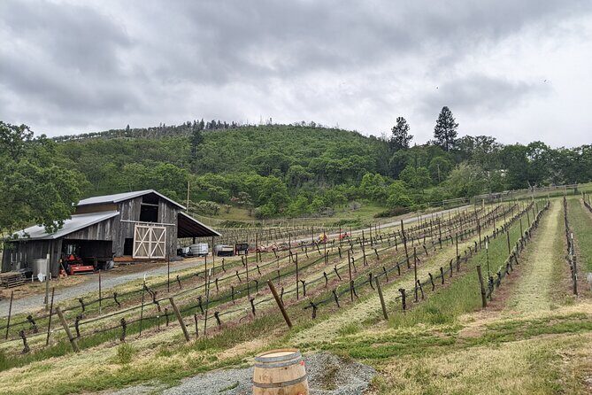 Full-Day Tour of Rogue Valley Wineries - Full-Day Tour of Rogue Valley Wineries: An Authentic Taste of Oregon’s Wine Country