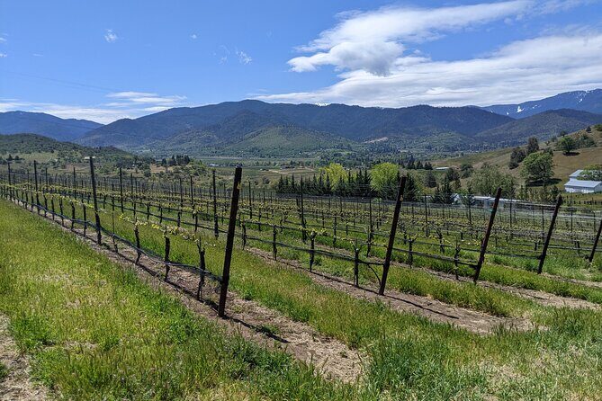 Full-Day Tour of Rogue Valley Wineries - Practical Tips for Your Day