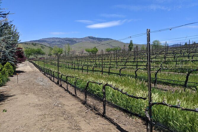 Full-Day Tour of Rogue Valley Wineries - FAQ