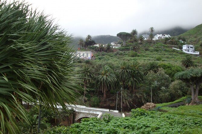 Full Day Tour of Santa Cruz and San Cristóbal de La Laguna - Full Day Tour of Santa Cruz and San Cristóbal de La Laguna: A Practical and Authentic Look