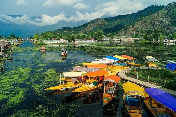 Full day tour of Srinagar with Entrance Fee, Guide, Shikara ride & Lunch - Starting with the Spectacular View from Shankaracharya Hill