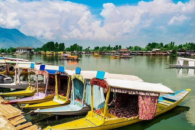Full day tour of Srinagar with Entrance Fee, Guide, Shikara ride & Lunch - Lunch and Local Arts: Carpet Weaving and Lacquer Centers