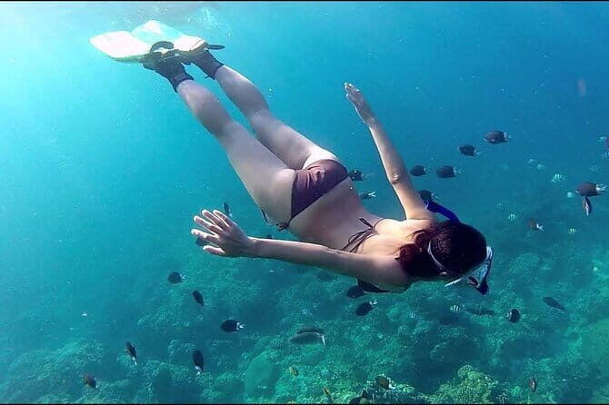 Full Day Tour Phu Quoc Fisherman's - Who Is This Tour Best For?