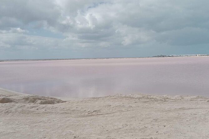 Full Day Tour Río Lagartos with Pickup from Mérida 7 AM - An In-Depth Look at the Tour Experience