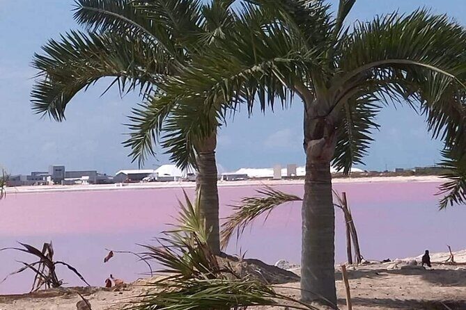 Full Day Tour Río Lagartos with Pickup from Mérida 7 AM - Who Will Enjoy This Tour?