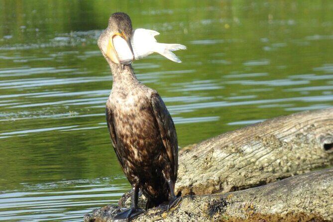 Full Day Tour Río Lagartos with Pickup from Mérida 7 AM - Final Thoughts