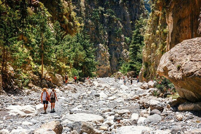 Full Day Tour Samaria Gorge From Chania - A Deep Dive into the Samaria Gorge Tour Experience