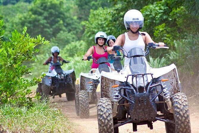 Full Day Tour Sapanca and Masukiye from Istanbul - Practical Details and What to Expect