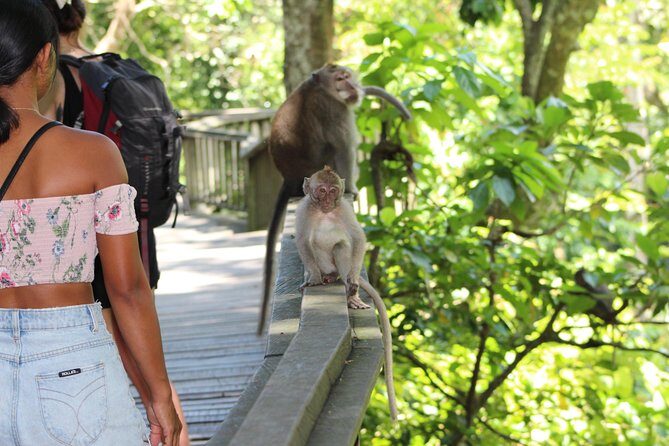 Full day Tour to Best of Ubud with jungle swing - Who Is This Tour Best For?
