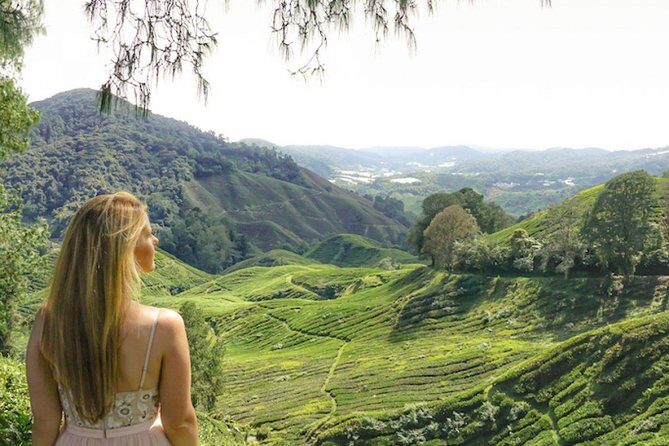 Full Day Tour to Cameron Highlands with Batu Caves Stopover - What to Expect from the Tour