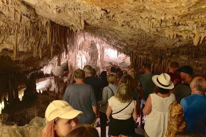 Full Day Tour to Caves of Drach and Hams with Porto Cristo and Pearl Factory - Exploring the Itinerary