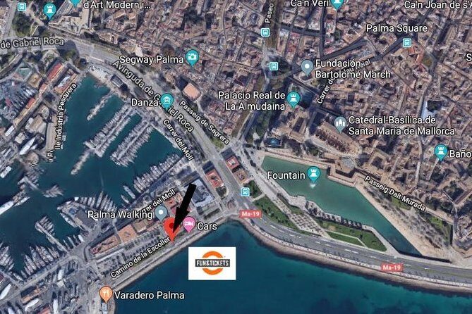 Full Day Tour to Caves of Drach and Hams with Porto Cristo and Pearl Factory - Authentic Experiences from Reviewers