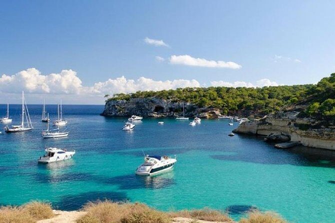 Full Day Tour to Caves of Drach and Hams with Porto Cristo and Pearl Factory - Final Thoughts: Who Should Consider This Tour?