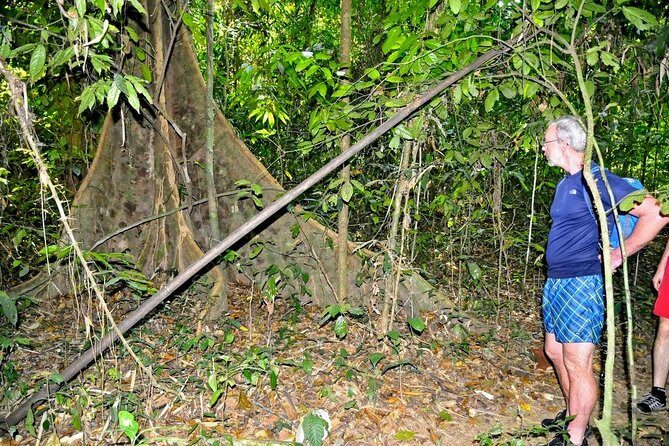 Full-Day Tour to Cheow Lan Lake in Khao Sok National Park from Krabi - FAQs