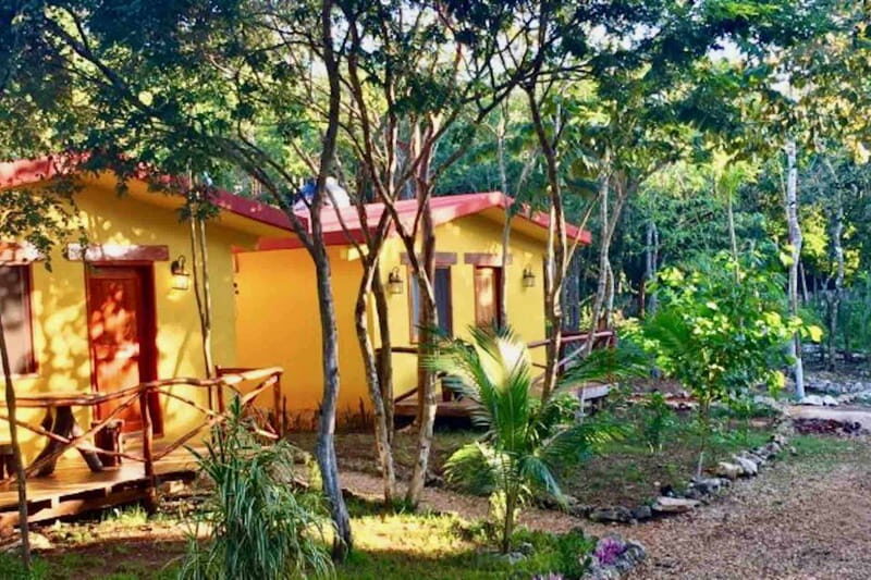 Full Day Tour to Cobá Ruins, Punta Laguna & Cenote - The Sum Up