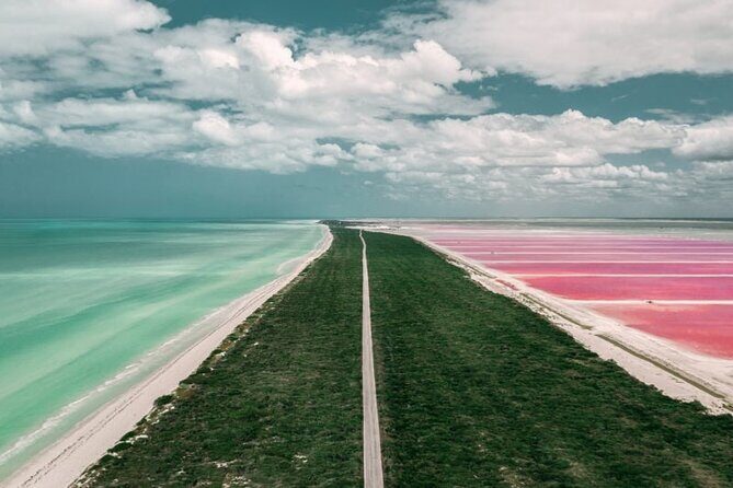 Full Day Tour to Coloradas & Rio Lagartos - Key Points