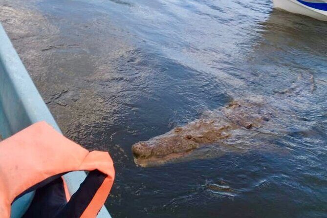 Full Day Tour to Coloradas & Rio Lagartos - FAQ