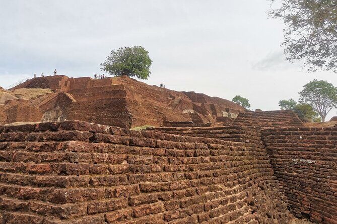 Full day tour to Dambulla, Sigiriya, Elephant Safari from Colombo - What the Tour Includes and What to Keep in Mind