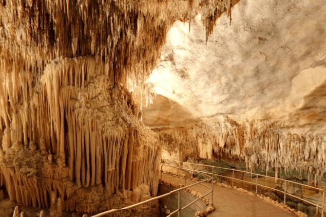Full-day Tour to Drach Caves and Portocristo Town - Who Would Love This Tour?