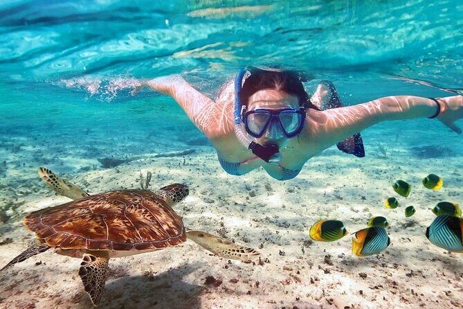 Full day tour to El Cielo in Cozumel Snorkeling and Lunch - Practical Details: What to Expect