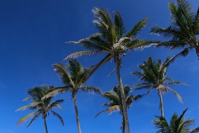 Full Day Tour to Isla Contoy and Isla Mujeres from Cancun - Why Choose This Tour?