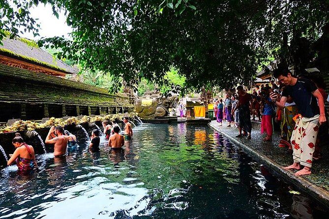 Full day tour to Kintamani and Ubud Excursion - Who Is This Tour Best For?