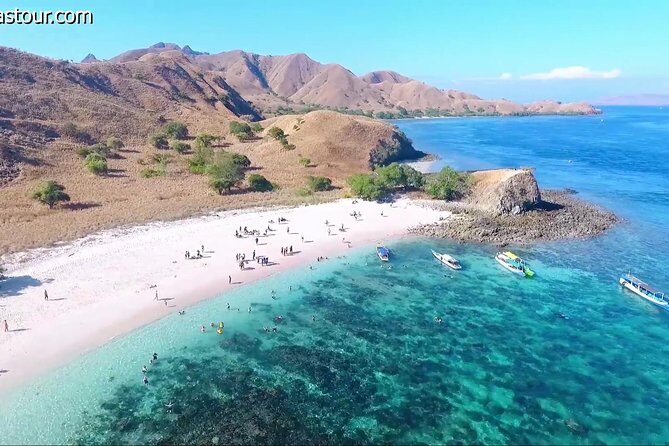 Full Day Tour to Komodo Island By Speed Boat to explore 6 destinations - Who Will Love This Tour?