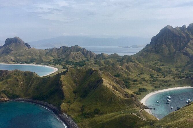Full Day Tour to Komodo Island By Speed Boat to explore 6 destinations - FAQ