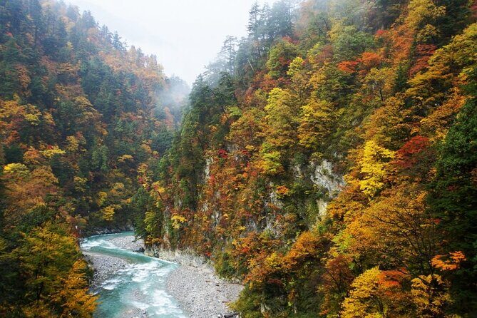 Full Day Tour to Kurobe Gorge and Unazuki Onsen from Kanazawa - An In-Depth Look at the Full Day Tour to Kurobe Gorge and Unazuki Onsen