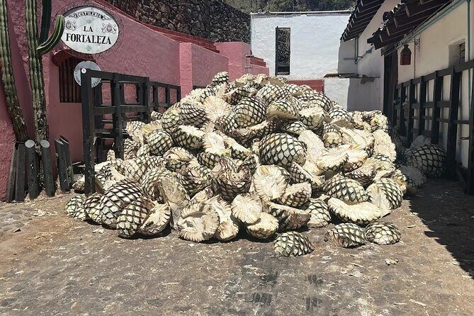 Full-Day Tour to La Fortaleza Distillery and Cantaritos - A Closer Look at the Full-Day Tour to La Fortaleza and Cantaritos