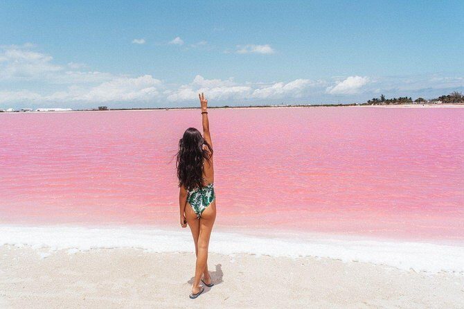 Full-Day Tour to Las Coloradas Pink Paradise in Yucatan and Rio Lagartos. - Analyzing the Value