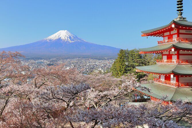 Full Day Tour to Mount Fuji in Spanish - Final Thoughts: Is It Worth It?