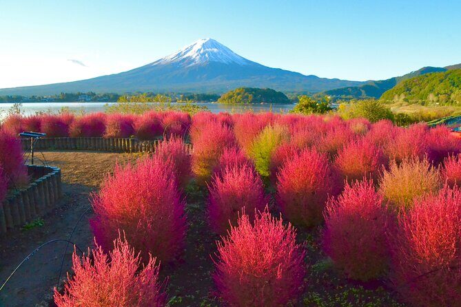 Full Day Tour to Mount Fuji in Spanish - FAQ