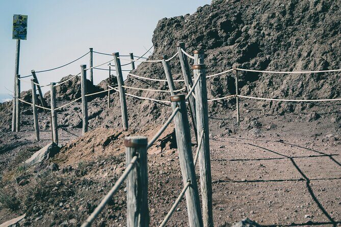 Full Day Tour to Pompeii, Vesuvius and Wine Tasting - Who Is This Tour For?