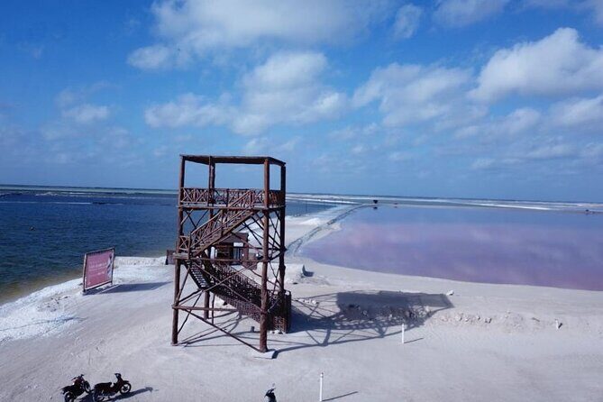 Full day tour to Rio Lagartos and Las Coloradas from Riviera Maya - Cost and Value Analysis