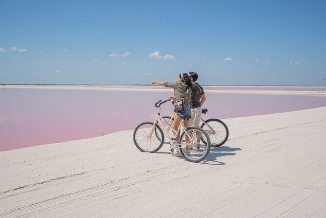 Full day tour to Rio Lagartos and Las Coloradas from Riviera Maya - Authentic Experiences and Traveler Feedback
