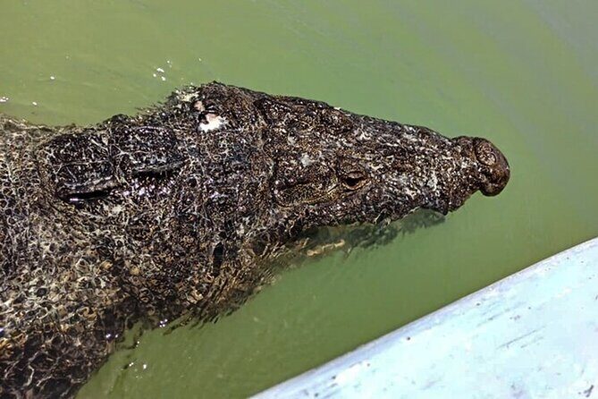 Full day tour to Rio Lagartos and Las Coloradas from Riviera Maya - FAQ