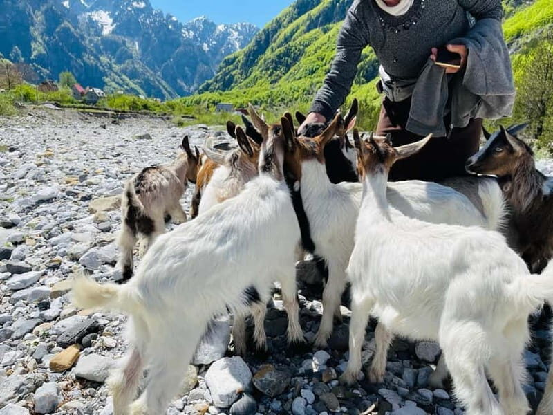 Full day tour to Shkoder - Theth - Practical Details