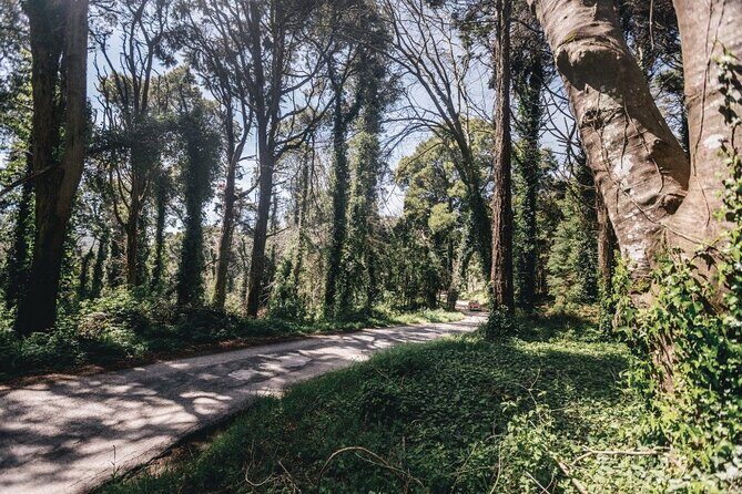 Full-Day Tour to Sintra and Cascais - FAQ