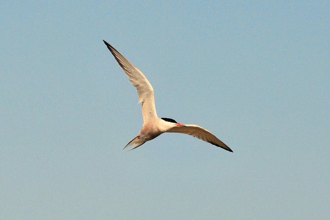Full day tour to Texel - Friesian Islands - from Amsterdam - An In-Depth Look at the Texel Full-Day Tour