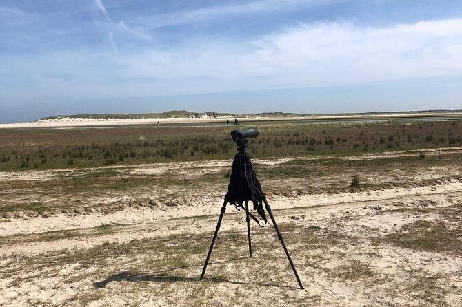 Full day tour to Texel - Friesian Islands - from Amsterdam - FAQ