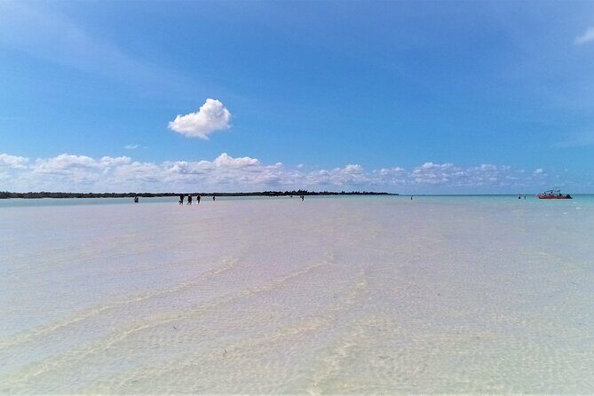 Full Day Tour to the Best of Holbox - An In-Depth Look at the Tour Experience