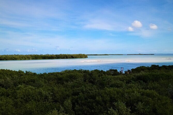 Full Day Tour to the Best of Holbox - Practical Tips for Future Travelers