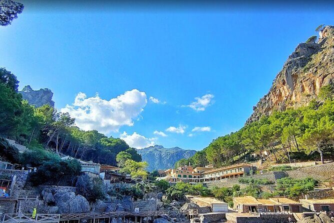 Full Day Tour to the Island of Mallorca - Key Points