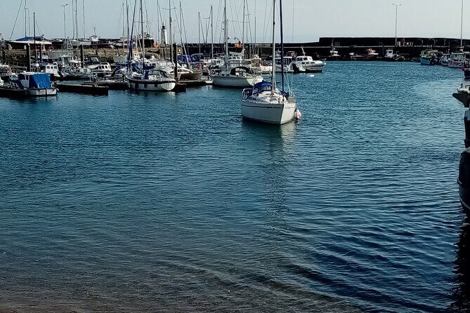 Full-Day Tour to the Scottish Highlands - Who Will Love This Tour