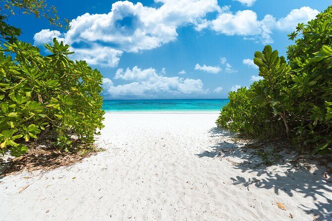 Full-day Tour to the Similan Islands by Speedboat from Khao Lak - The Sum Up