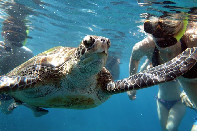 Full-day Tour to the Similan Islands by Speedboat from Khao Lak - Frequently Asked Questions
