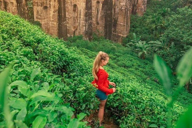 Full Day Tour to Udawalawe Safari and Ella - FAQ
