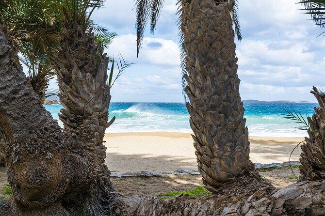 Full-Day Tour to Vai Palm Beach, Toplou Monastery, and Sitia Town - Final Thoughts